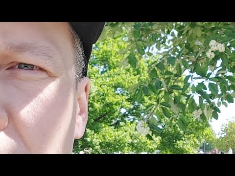 Laihian Luja - KoU E punainen