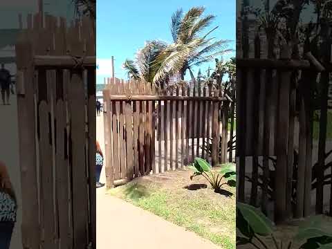 Hot dayShaka Marine beach South Africa