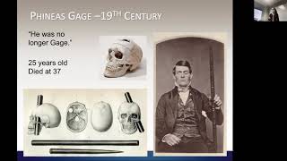 Finishing up the Brain