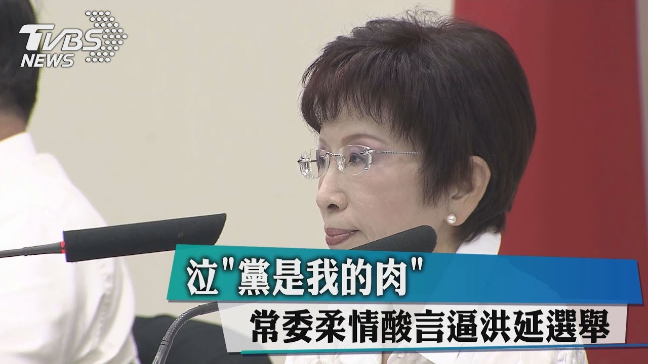 泣「黨是我的肉」　常委柔情酸言逼洪延選舉