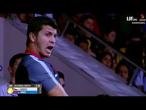2019 Almaty Final 73 kg Kopecký Adam CZE vs  Simsek Musa TUR