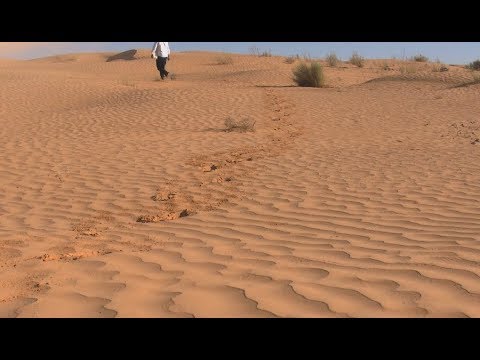 Sanaʽa (: ‎ Ṣanʿāʾ [sˤɑnʕaːʔ] Yemeni Arabic: [ˈsˤɑnʕɑ]) Also Spelled Sanaa Or Sana Is The Largest