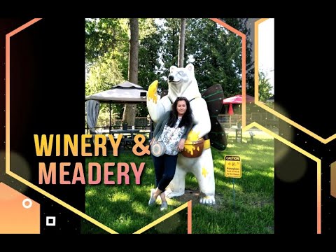 WINERY & MEADERY TOUR 🍷🐝| Video No. 41