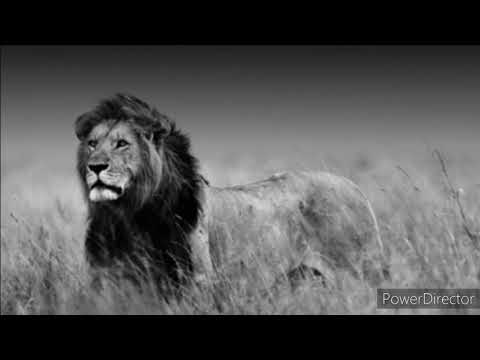 Es wird dich alles kosten