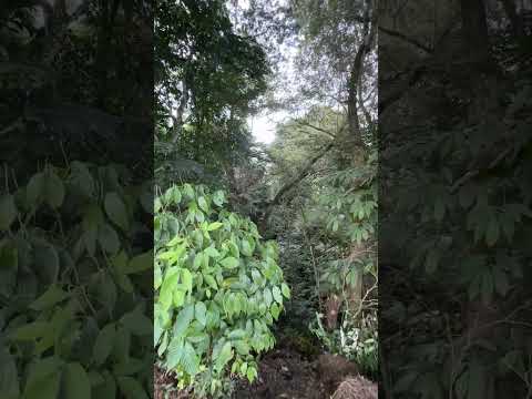 Se vende lote en Santa Elena, El Cerrito