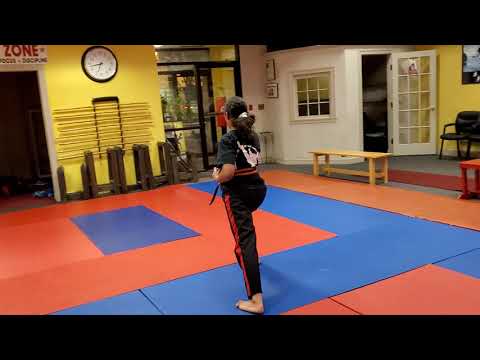 Blue Life Karate study guide 1st Kata