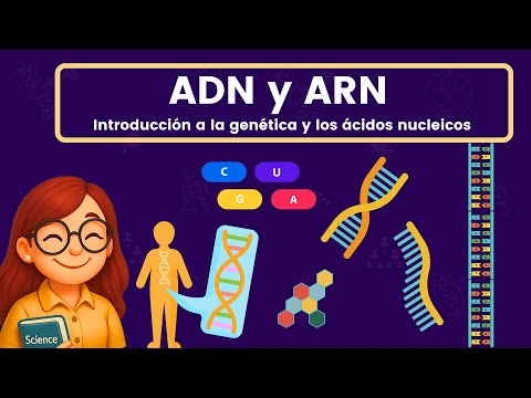 ADN y ARN | Ácidos Nucleicos 🧬