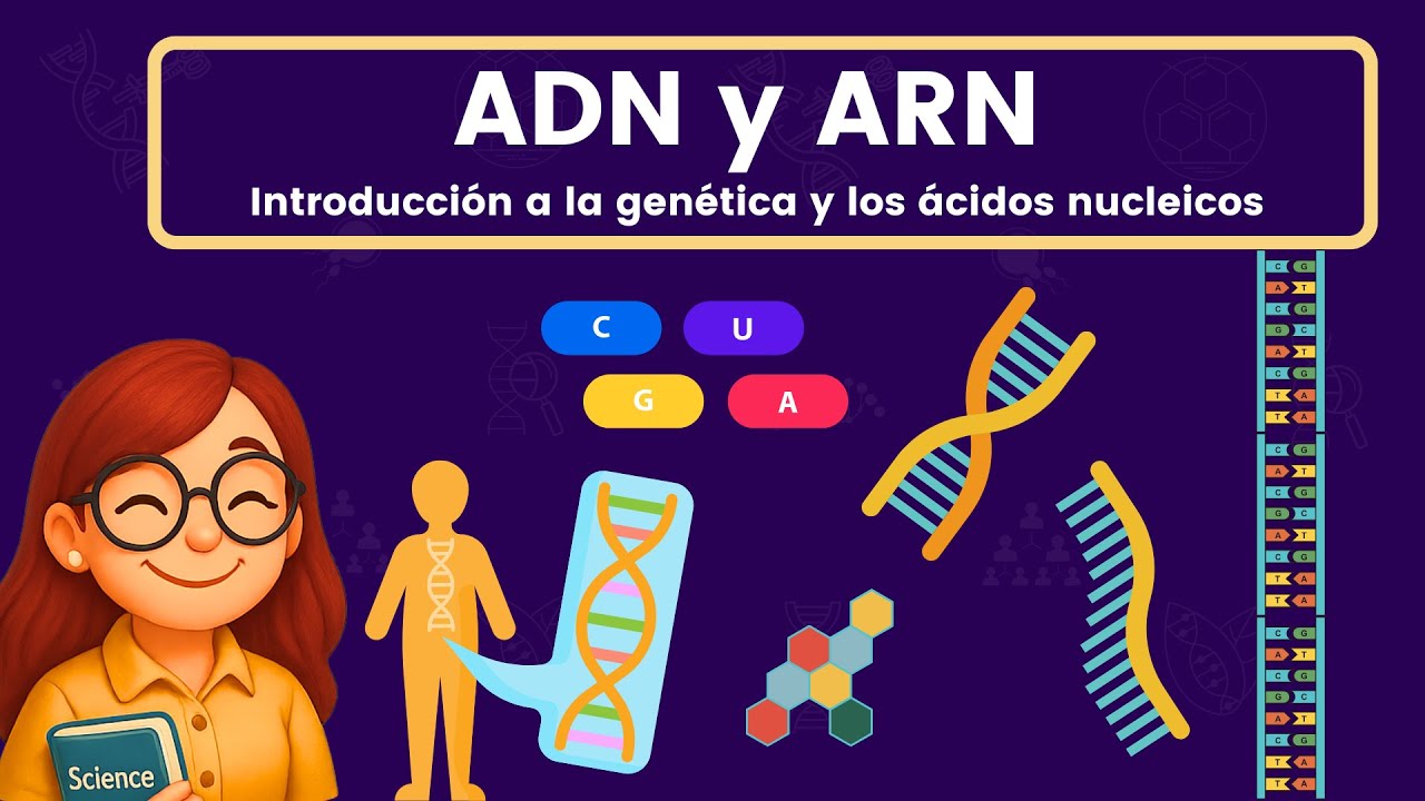 ADN y ARN (ácidos nucleicos)