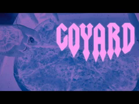 Goyard - Naaazty (Video Oficial)