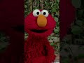 Elmo Checks In With Rocco Sesamestreet