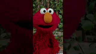 Elmo Checks In with Rocco #sesamestreet