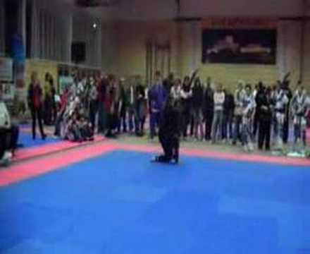 AUSTRIAN CLASSIC 2007 - german soft style - Michael Moeller