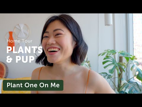 Living With PLANTS & A PUP Houseplant Home Tour! — Ep. 234