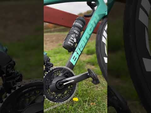 Bianchi's Signature Celeste