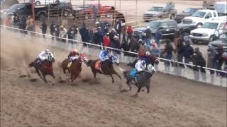 EL SULTAN GANA ABIERTA EN 250YARDAS