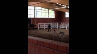 Video von Chivelle W