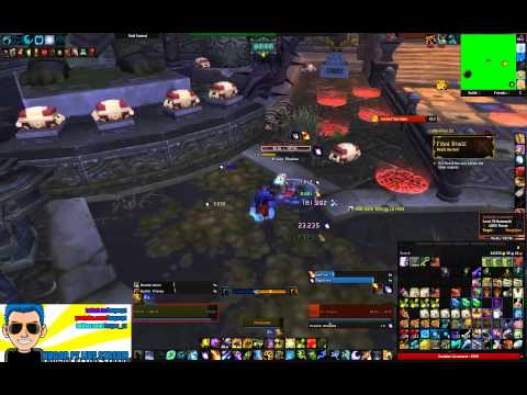 Troves of the Thunder King guide (10 gold chests and treasure saurok) Balance Druid