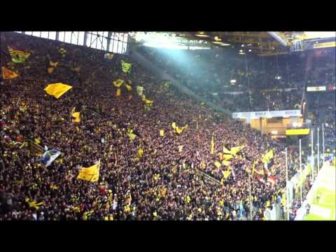 BVB - St. Pauli 23. Spieltag | Feiern mit der Mannschaft nach dem Spiel 2:0