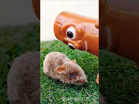 TUNG TUNG SAHUR FOUND A MOUSE IN HIS BACKYARD #Shorts