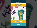 biology - biología video thumbnail