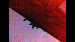 Les oiseaux de Paris 04 juin 2012 le chant de la vie sur le bitume.mp4