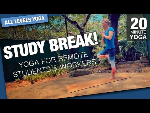 Study Break - Yoga for Remote Students & Workers - Five Parks Yoga - 20 Minute Class