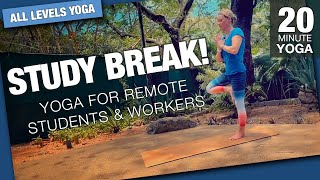 Study Break - Yoga for Remote Students & Workers - Five Parks Yoga - 20 Minute Class