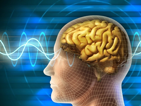 OpenCog MOSES Tutorial with Nil