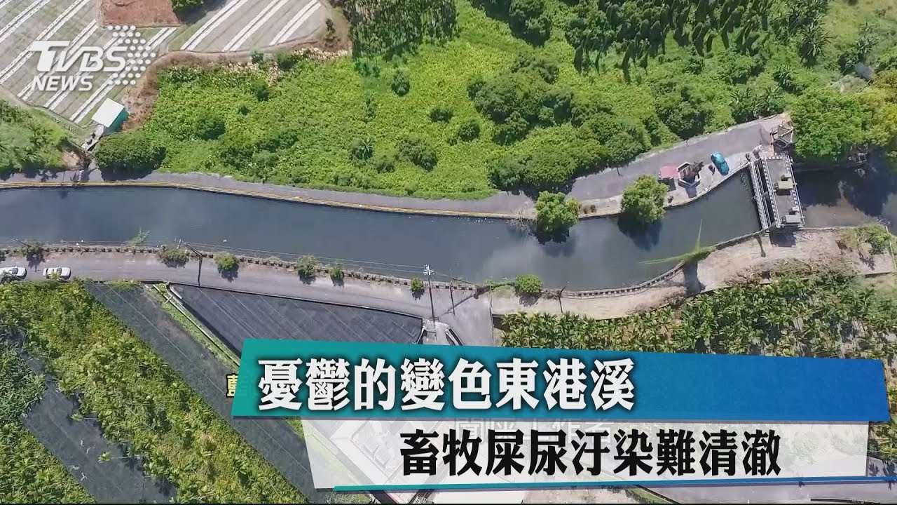 憂鬱的變色東港溪 畜牧屎尿汙染難清澈
