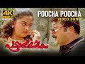 Poocha Poocha Video Song Pattabhishekam 4K Jayaram Mohini Berny Ignatius M G Sreekumar