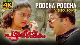 Poocha Poocha Video Song  Pattabhishekam 4K  Jayar
