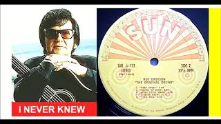 Roy Orbison - I Never Knew &#39;Vinyl&#39;