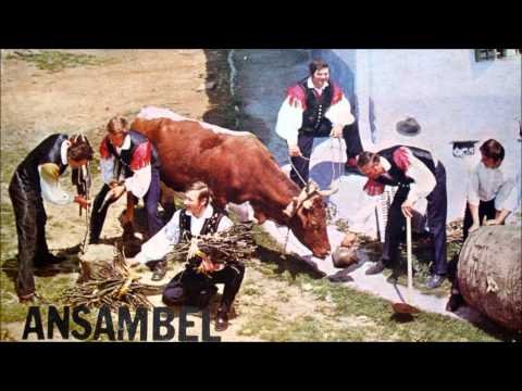 Ansambel Vandrovček - Ko prihajam v rojstno hišo HD 720p-Videoposnetek iz mojega telefona