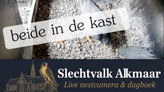 Kast inspectie door beide