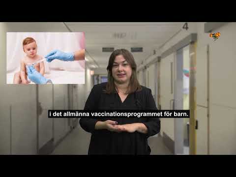 Allt du behöver veta om mässling