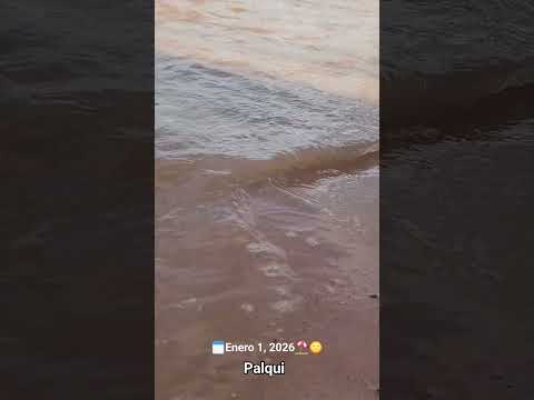 ANTA// APOLINARIO SARAVIA, Rio Dorado. #Palqui