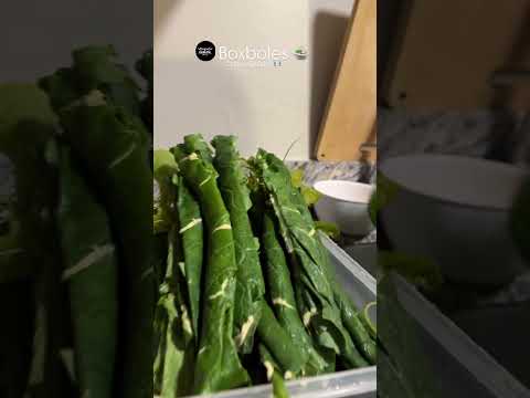 Una delicia de Chajul, Quiché