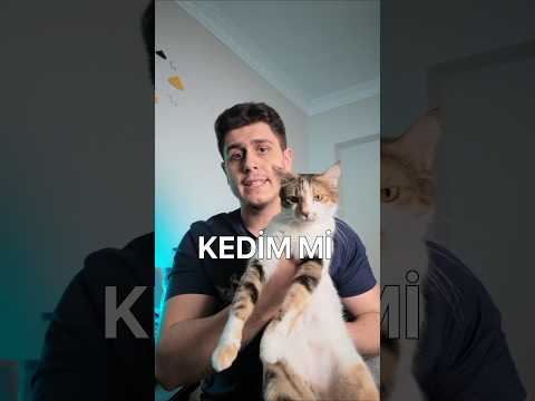 Kedimle barfiks yarışması yaptım ve sonuç... 🙀