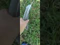 Found a huge feather. Sandhill Crane maybe. #shorts #birds #feather