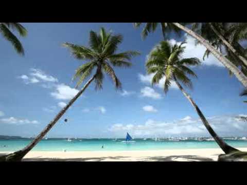 Palm trees and beach