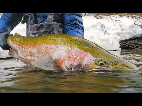 WE Broke 2 RECORDS Fishing 4 Days In ALASKA!