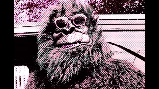 But Did You Notice The Gorilla? | Official Trailer