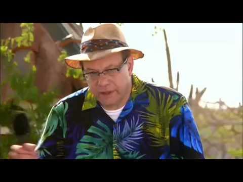 Lewis Black - Aruba Tourism Authority  Commercial #7  "Time Share"