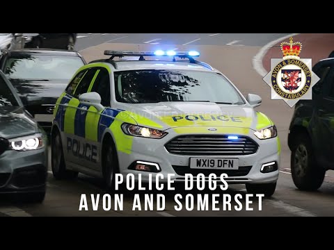 DOG UNITS! Avon and Somerset Police Dog Vehicles responding