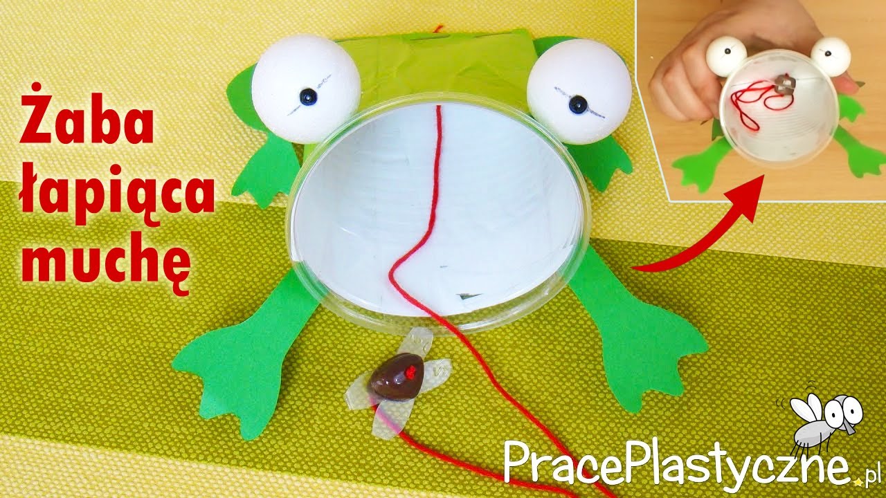 Żaba łapiąca muchę