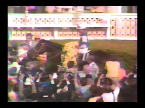 1981 Preakness Stakes - Pleasant Colony : ABC Broadcast