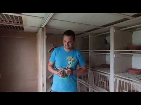 Nationale Winnaars ZLU  St. Vincent 2015