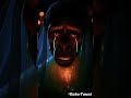 The Gorilla Wife Died After The Marriage