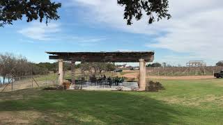 Unwind with Music & Wine Tasting