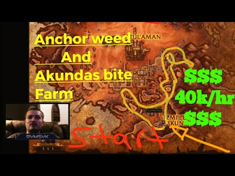 ANCHOR WEED + AKUNDAS BITE FARM 25k-40k Gold/HR MINIMUM